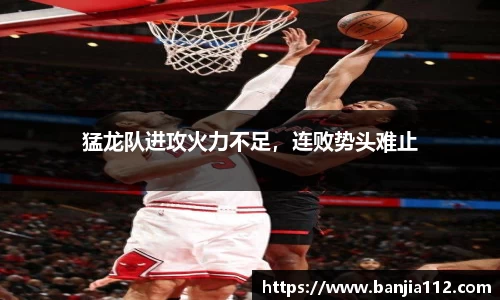 VSport-胜利因您更精彩