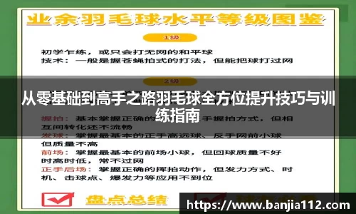 从零基础到高手之路羽毛球全方位提升技巧与训练指南