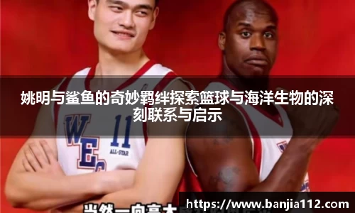 姚明与鲨鱼的奇妙羁绊探索篮球与海洋生物的深刻联系与启示