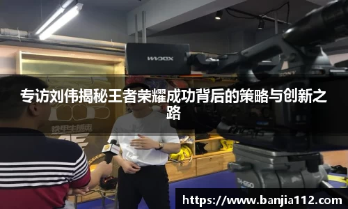 专访刘伟揭秘王者荣耀成功背后的策略与创新之路