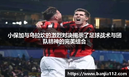 VSport-胜利因您更精彩
