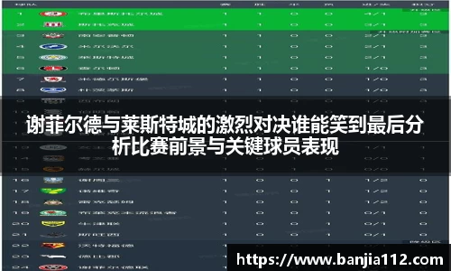 谢菲尔德与莱斯特城的激烈对决谁能笑到最后分析比赛前景与关键球员表现