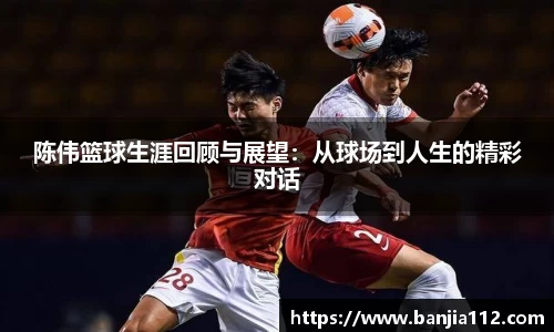陈伟篮球生涯回顾与展望：从球场到人生的精彩对话