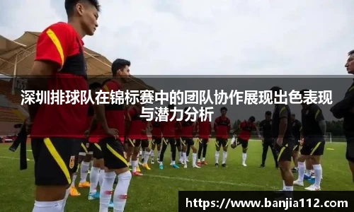 VSport-胜利因您更精彩